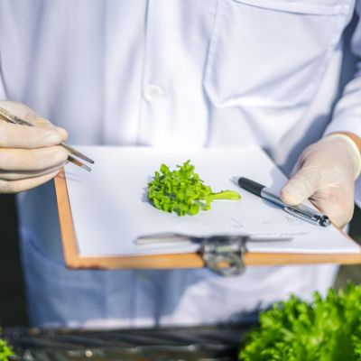 Social Responsibility